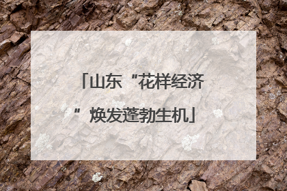 山东“花样经济”焕发蓬勃生机