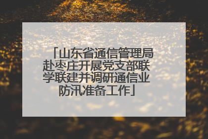 山东省通信管理局赴枣庄开展党支部联学联建并调研通信业防汛准备工作