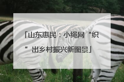山东惠民：小绳网“织”出乡村振兴新图景