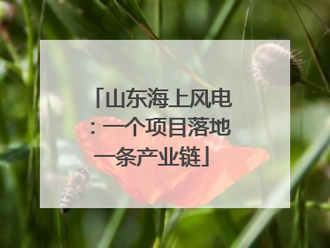 山东海上风电：一个项目落地一条产业链