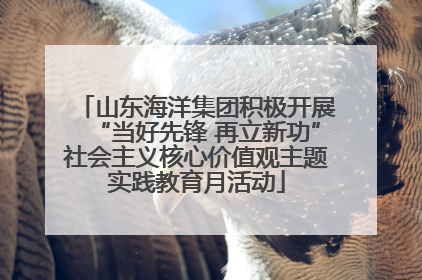 山东海洋集团积极开展“当好先锋 再立新功”社会主义核心价值观主题实践教育月活动