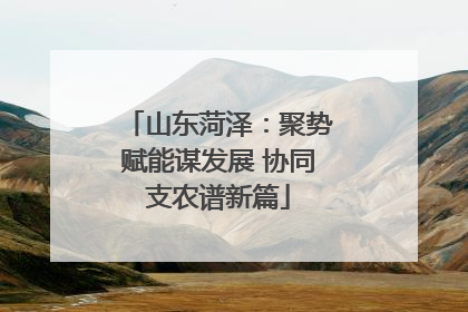 山东菏泽：聚势赋能谋发展 协同支农谱新篇