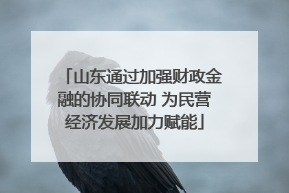 山东通过加强财政金融的协同联动 为民营经济发展加力赋能