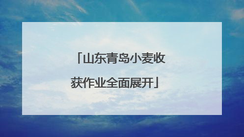 山东青岛小麦收获作业全面展开