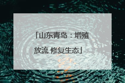 山东青岛：增殖放流 修复生态