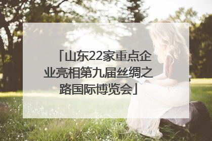 山东22家重点企业亮相第九届丝绸之路国际博览会