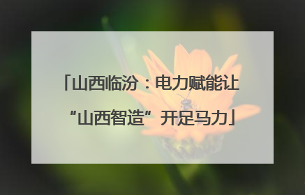 山西临汾：电力赋能让“山西智造”开足马力