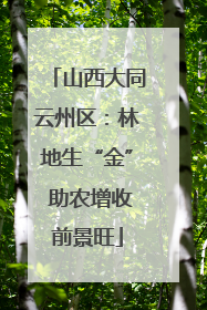 山西大同云州区：林地生“金” 助农增收前景旺