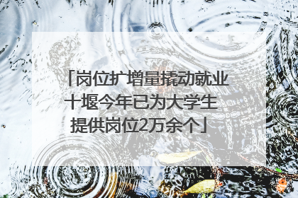 岗位扩增量撬动就业 十堰今年已为大学生提供岗位2万余个