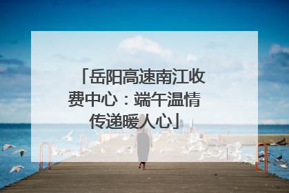 岳阳高速南江收费中心：端午温情传递暖人心