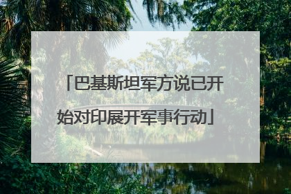 巴基斯坦军方说已开始对印展开军事行动
