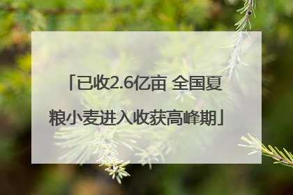 已收2.6亿亩 全国夏粮小麦进入收获高峰期