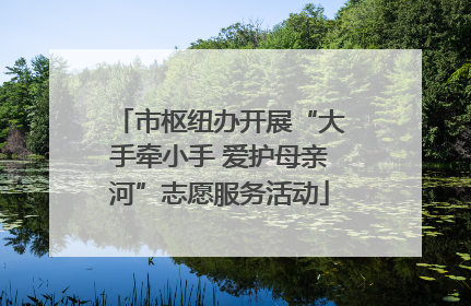 市枢纽办开展“大手牵小手 爱护母亲河”志愿服务活动