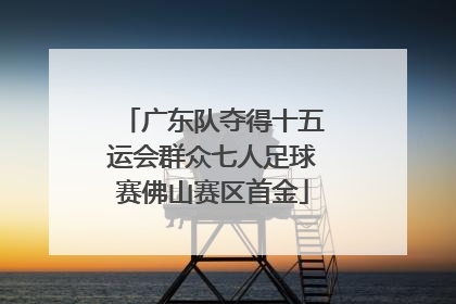 广东队夺得十五运会群众七人足球赛佛山赛区首金