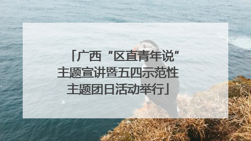 广西“区直青年说”主题宣讲暨五四示范性主题团日活动举行