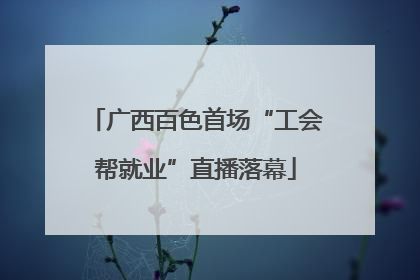 广西百色首场“工会帮就业”直播落幕