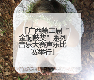 广西第二届“金铜鼓奖”系列音乐大赛声乐比赛举行