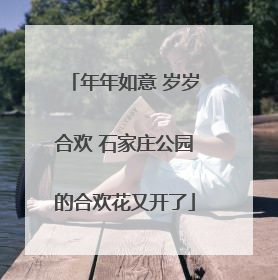 年年如意 岁岁合欢 石家庄公园的合欢花又开了