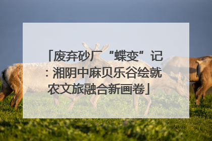 废弃砂厂“蝶变”记：湘阴中麻贝乐谷绘就农文旅融合新画卷