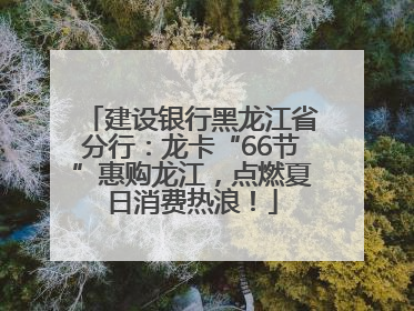 建设银行黑龙江省分行：龙卡“66节”惠购龙江，点燃夏日消费热浪！