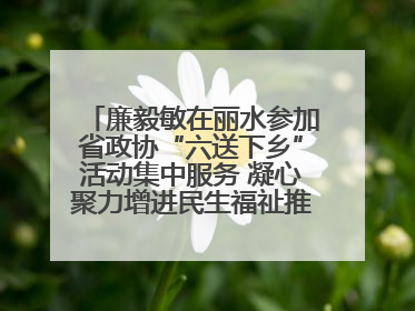 廉毅敏在丽水参加省政协“六送下乡”活动集中服务 凝心聚力增进民生福祉推进共同富裕