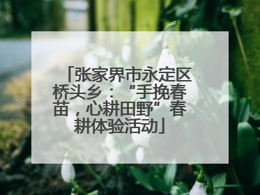 张家界市永定区桥头乡：“手挽春苗，心耕田野”春耕体验活动