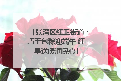 张湾区红卫街道：巧手包粽迎端午 红星送暖润民心