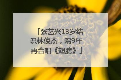 张艺兴13岁结识林俊杰，隔9年再合唱《翅膀》