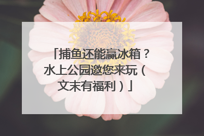 捕鱼还能赢冰箱？水上公园邀您来玩（文末有福利）