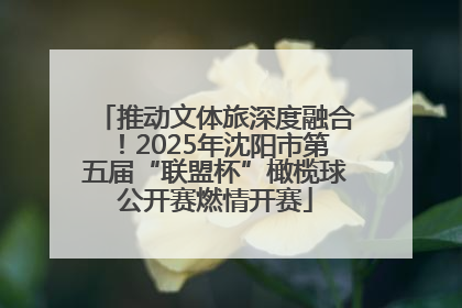 推动文体旅深度融合！2025年沈阳市第五届“联盟杯”橄榄球公开赛燃情开赛