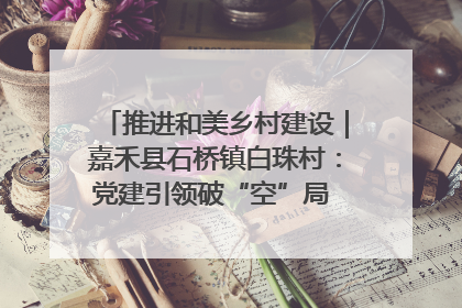 推进和美乡村建设｜嘉禾县石桥镇白珠村：党建引领破“空”局 乡贤聚力绘就新图景