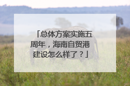 总体方案实施五周年，海南自贸港建设怎么样了？