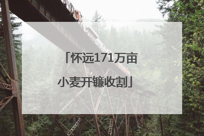 怀远171万亩小麦开镰收割