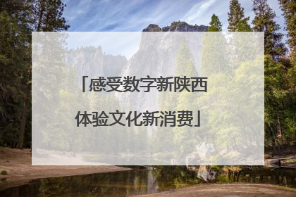 感受数字新陕西 体验文化新消费