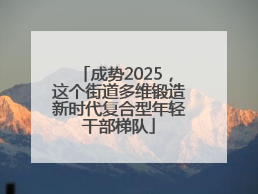 成势2025，这个街道多维锻造新时代复合型年轻干部梯队