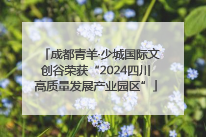 成都青羊·少城国际文创谷荣获“2024四川高质量发展产业园区”