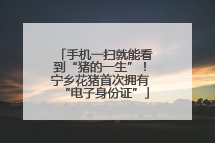 手机一扫就能看到“猪的一生”！宁乡花猪首次拥有“电子身份证”