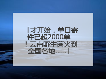 才开始，单日寄件已超2000单！云南野生菌火到全国各地……