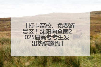 打卡高校、免费游景区！沈阳向全国2025届高考考生发出热情邀约