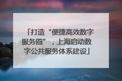 打造“便捷高效数字服务圈”，上海启动数字公共服务体系建设
