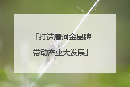 打造唐河金品牌 带动产业大发展