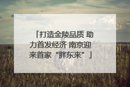 打造金陵品质 助力首发经济 南京迎来首家“胖东来”
