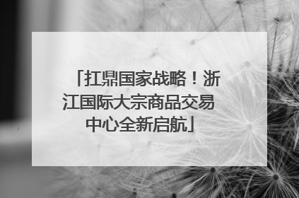 扛鼎国家战略！浙江国际大宗商品交易中心全新启航