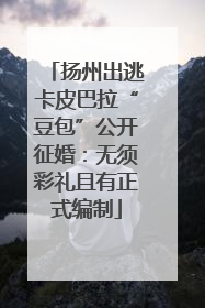 扬州出逃卡皮巴拉“豆包”公开征婚：无须彩礼且有正式编制