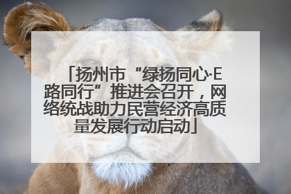 扬州市“绿扬同心·E路同行”推进会召开，网络统战助力民营经济高质量发展行动启动