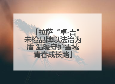 拉萨“卓·吉”未检品牌以法治为盾 温暖守护雪域青春成长路
