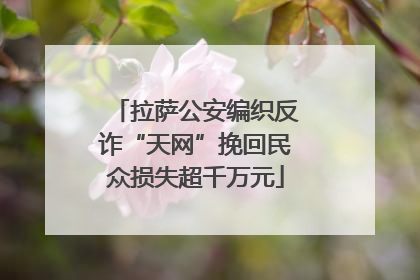 拉萨公安编织反诈“天网”挽回民众损失超千万元
