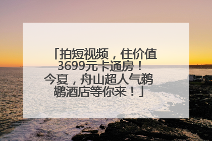 拍短视频，住价值3699元卡通房！今夏，舟山超人气鹈鹕酒店等你来！