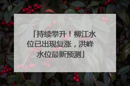 持续攀升！柳江水位已出现复涨，洪峰水位最新预测