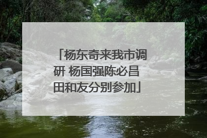 杨东奇来我市调研 杨国强陈必昌田和友分别参加